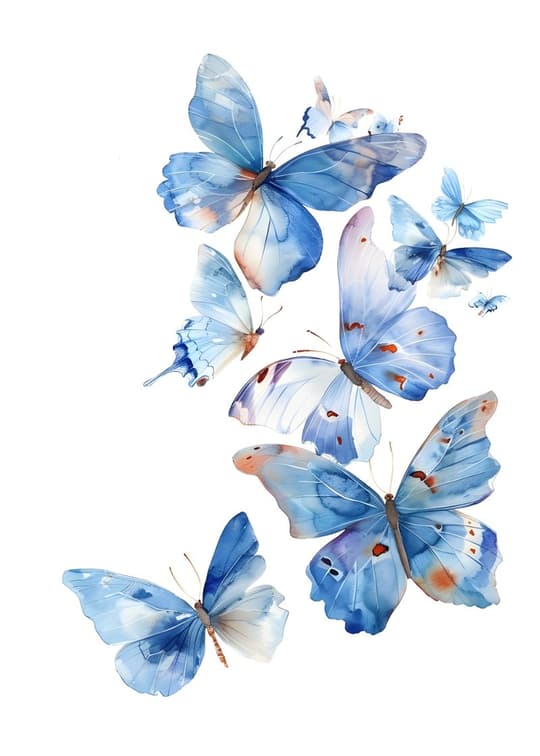 Blue Butterfly Collection