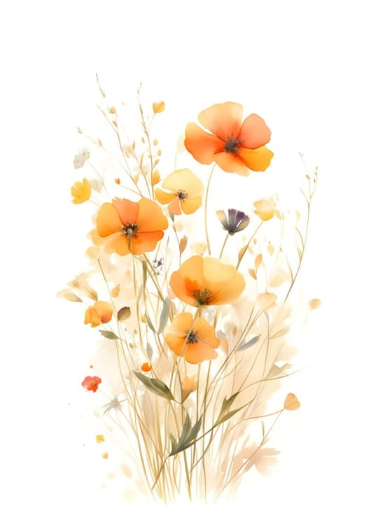 Wildflower Poppies