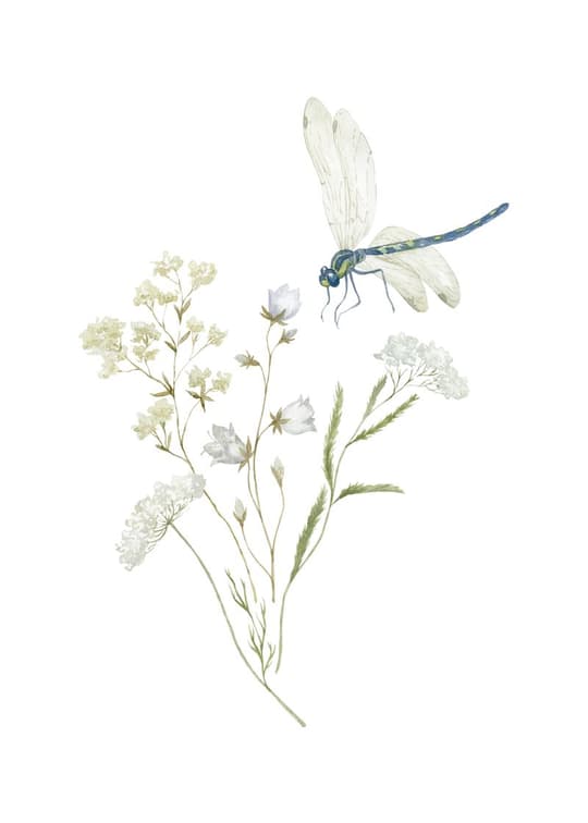 Dragonfly & White Flowers
