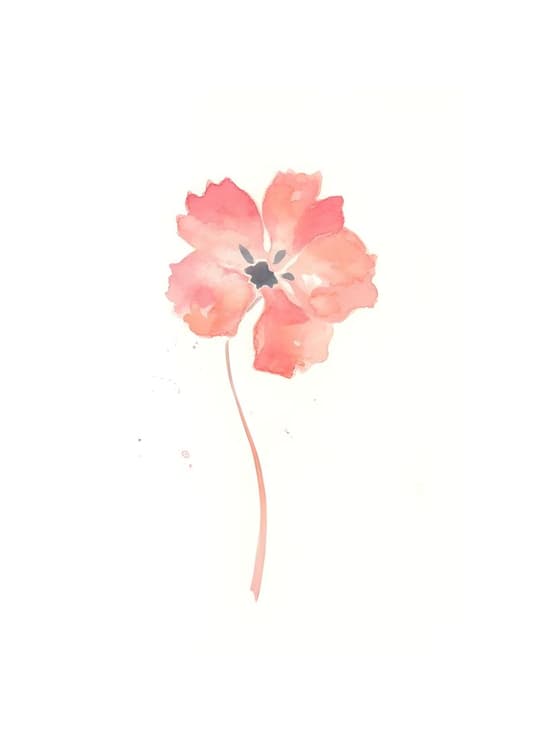 Single Poppy