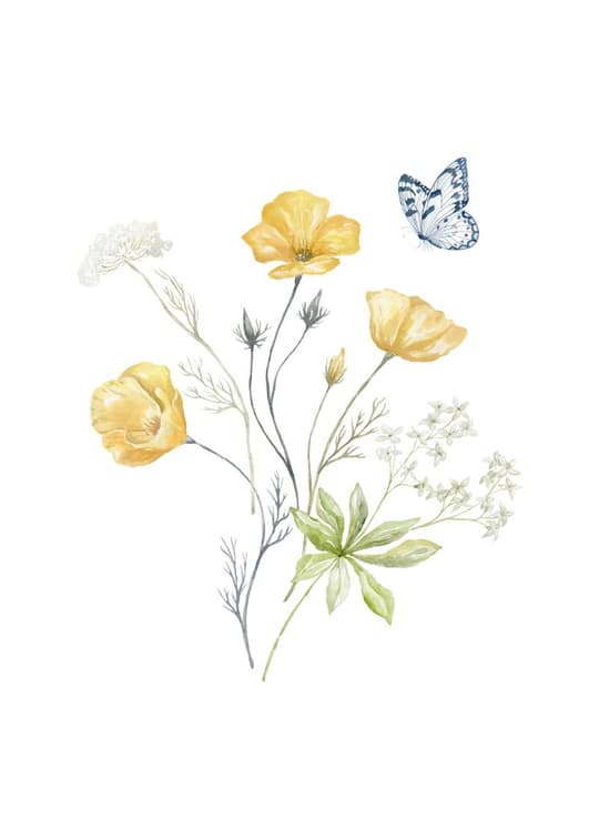 Yellow Flowers & Butterfly