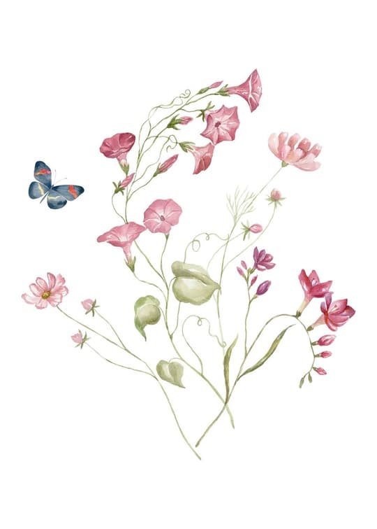 Pink Floral Botanical Study