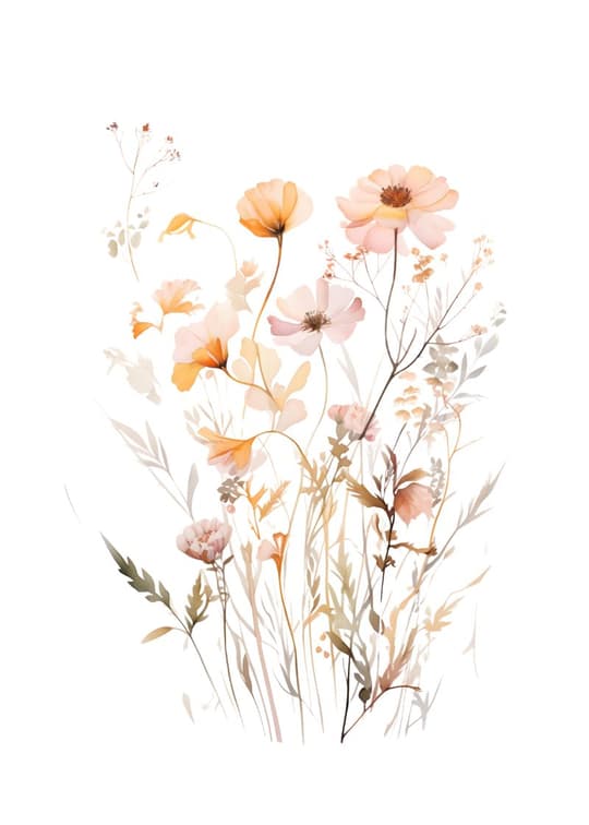 Wildflower Bloom Study