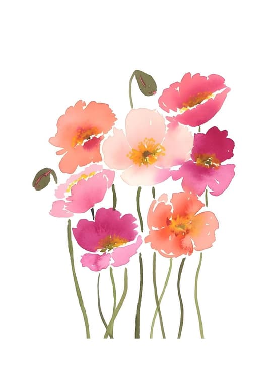 Watercolor Poppy Blooms