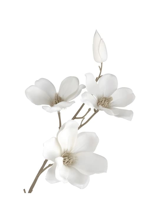 White Flowers Branch