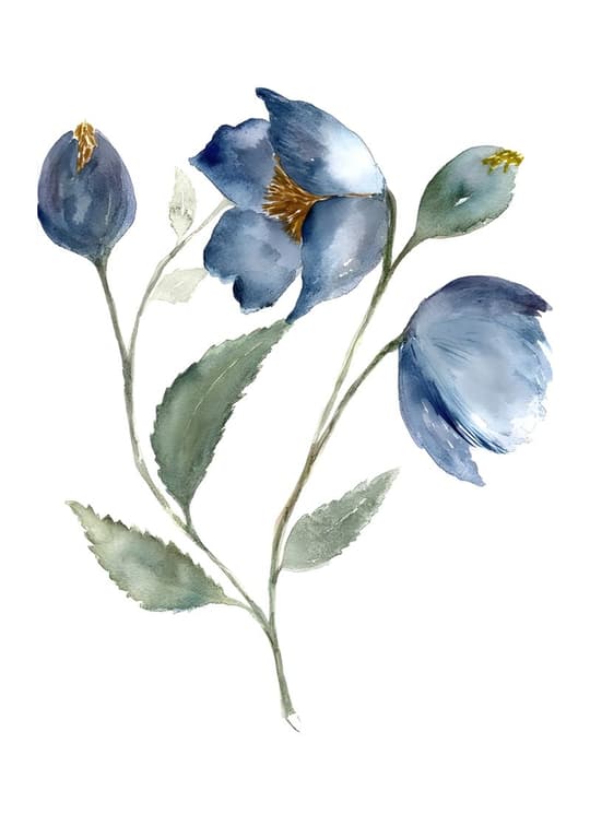 Blue Floral Study