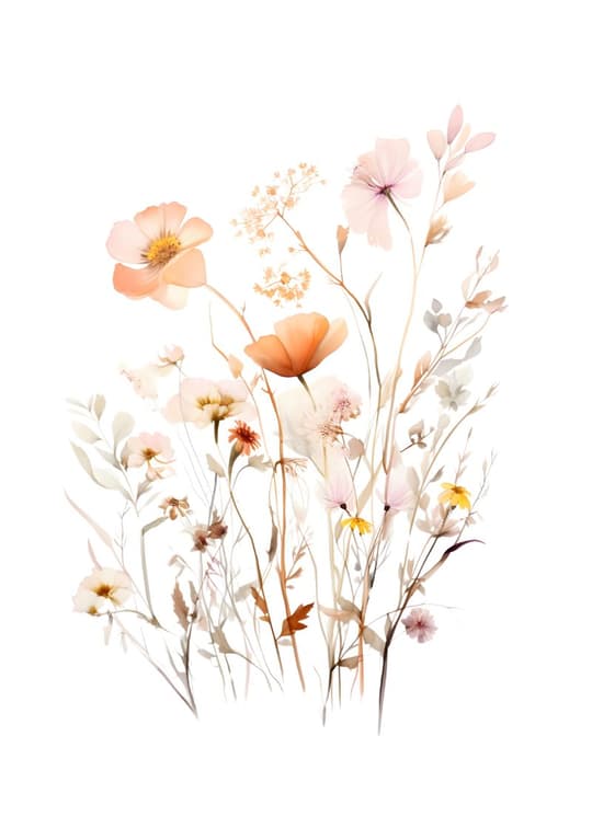 Wildflower Meadow