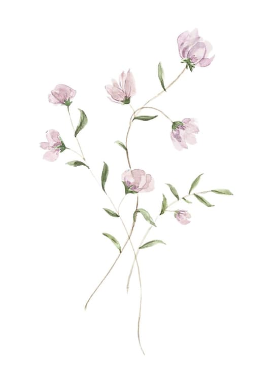 Delicate Pink Flowers