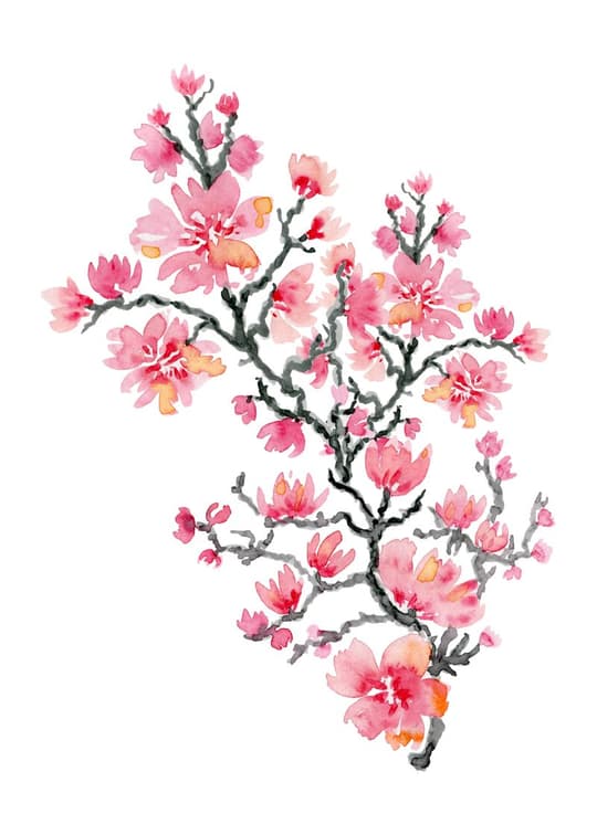 Cherry Blossom Branch