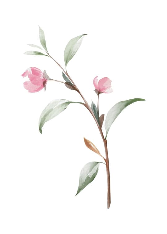 Pink Botanical Bloom