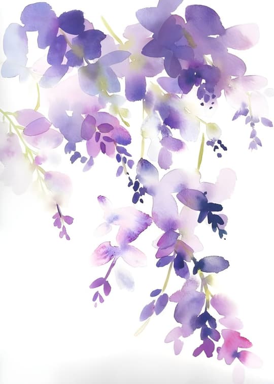 Cascading Wisteria Blooms
