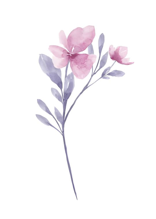 Delicate Pink Blossoms