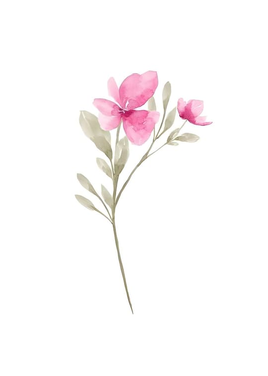 Pink Flower Study
