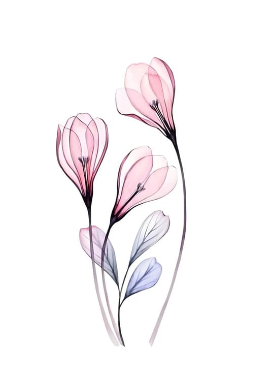 Delicate Translucent Flowers