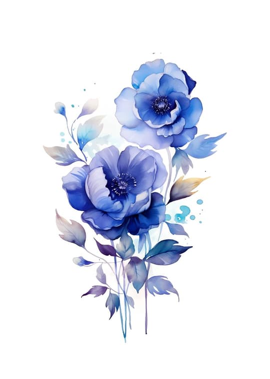 Blue Anemone Flowers