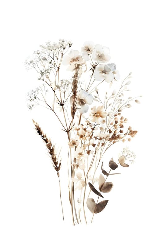 Dried Wildflower Botanicals