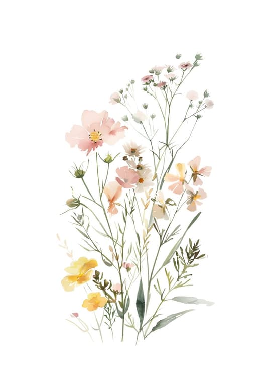 Wildflower Botanical Study