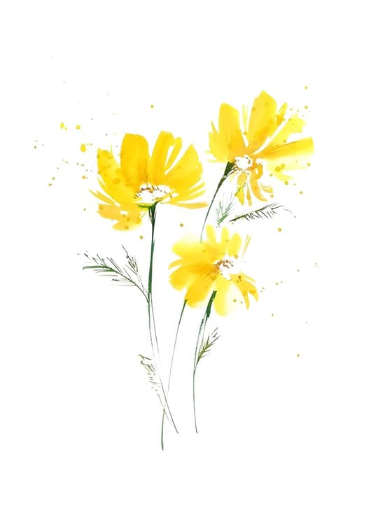 Yellow Wildflowers