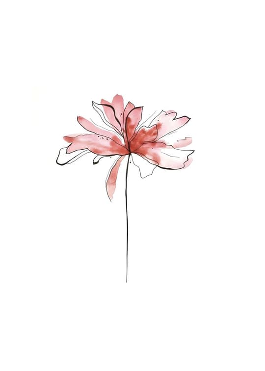 Single Bloom