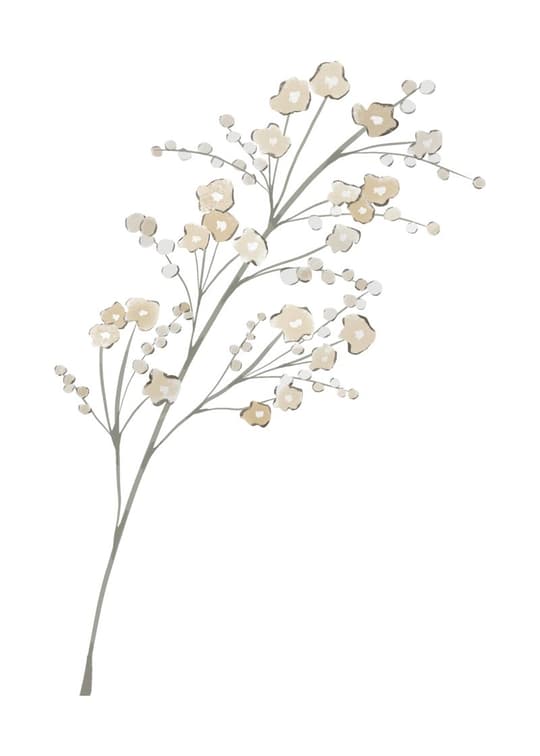 Delicate Seed Pods