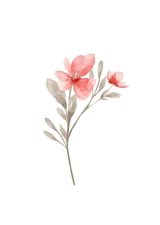 Delicate Pink Wildflower