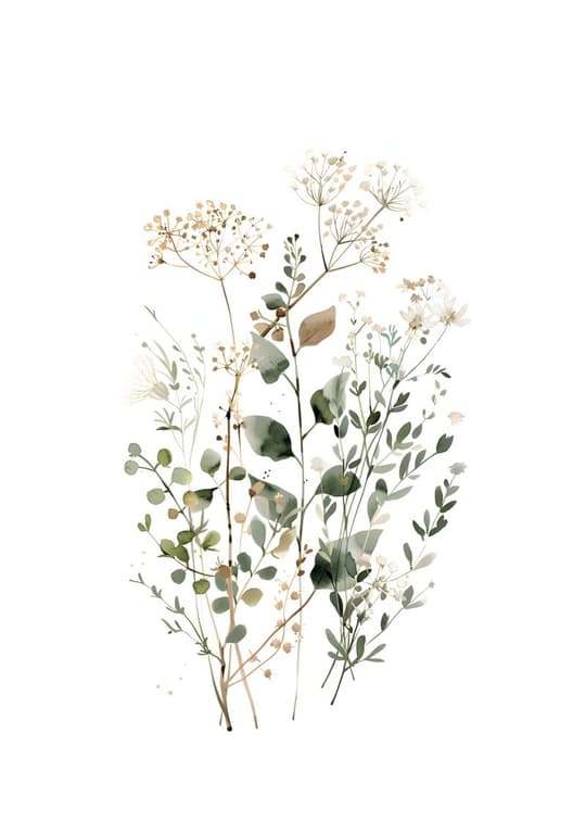 Botanical Study