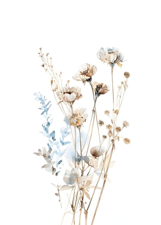 Dried Flowers Botanical Study