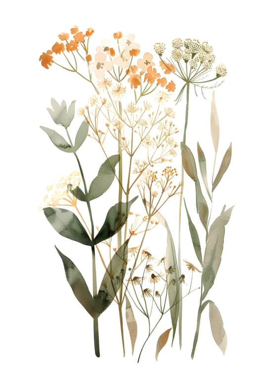 Wildflower Garden Study