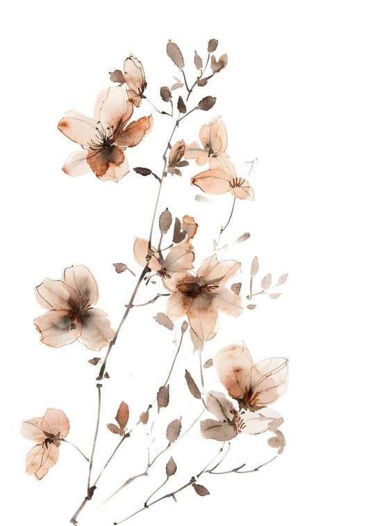 Dried Flower Stems