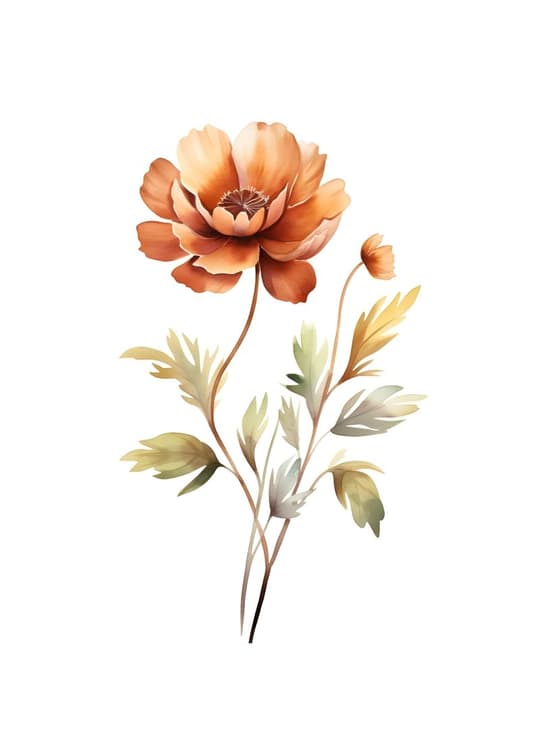 Coral Peony with Foliage