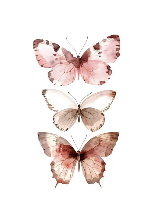 Three Delicate Butterflies