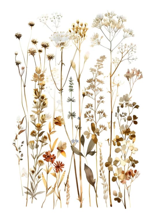 Botanical Study: Dried Flowers