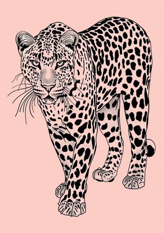 Leopard in Blush