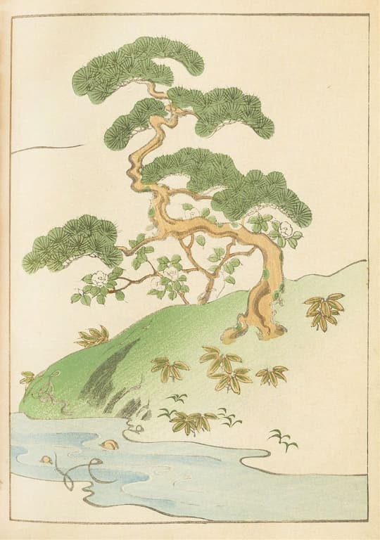 Graceful Bonsai by Water