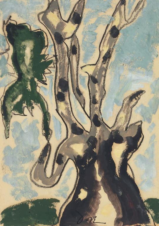 Ancient Tree in Spring