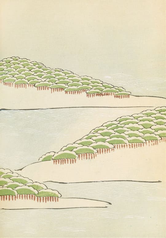 Terraced Fields by Water