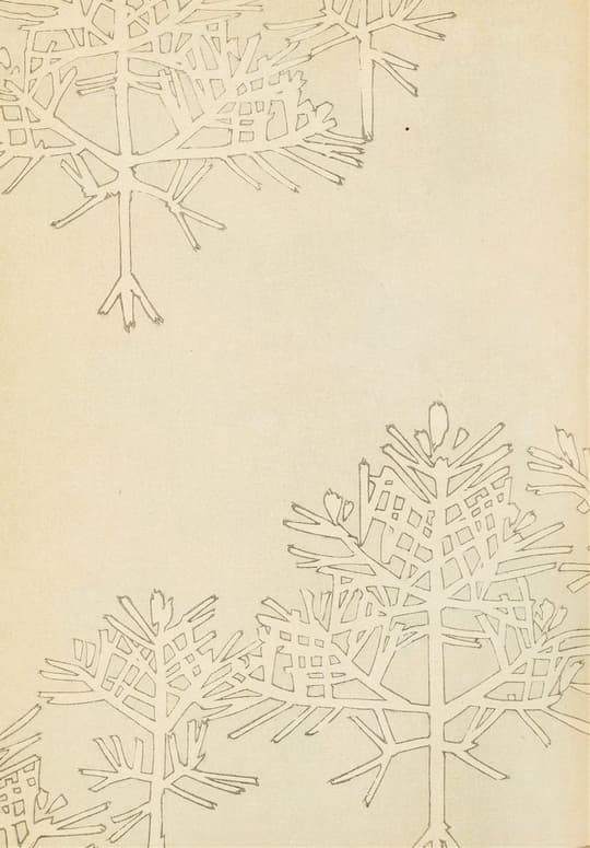 Botanical Line Study