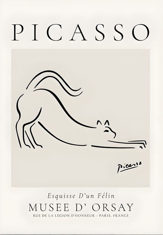 Esquisse D'un Félin