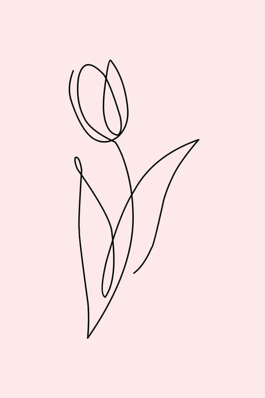 Minimalist Tulip Line Drawing
