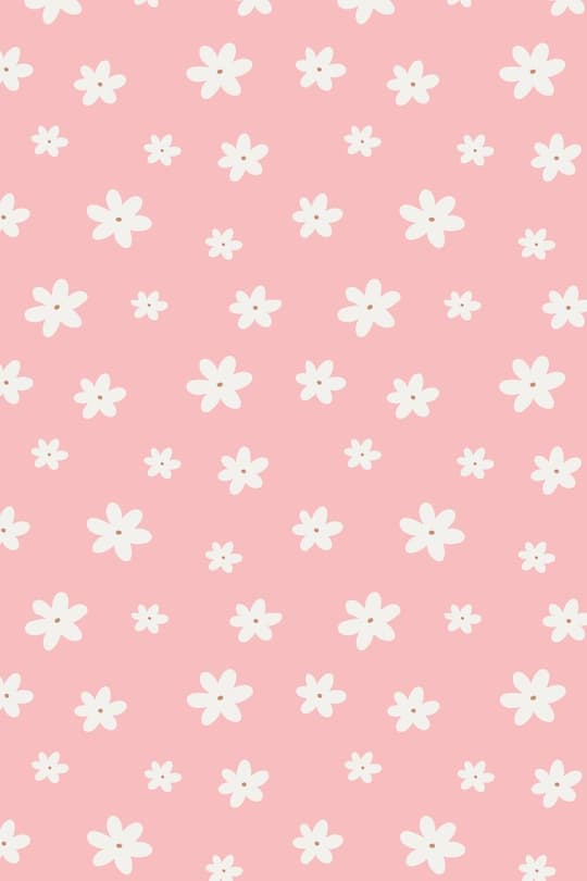 Pink Daisy Garden