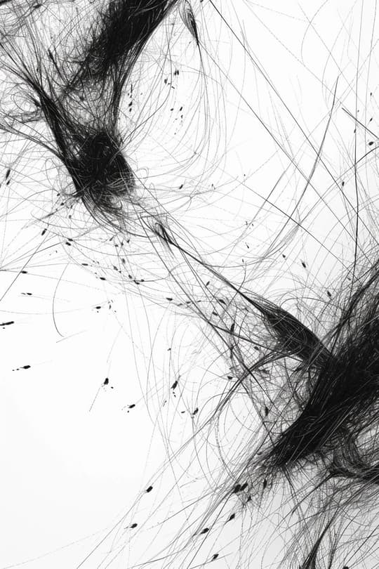 Flowing Lines