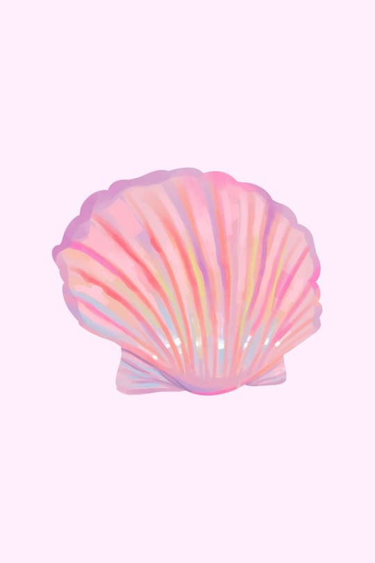 Iridescent Seashell