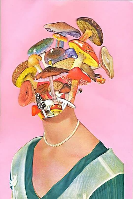 Surreal Mushroom Mind