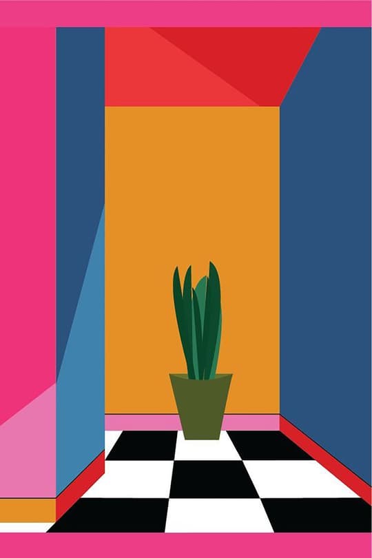 Modern Room with Cactus