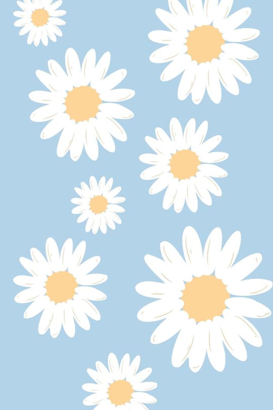 Cheerful Daisies