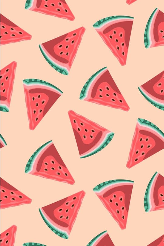 Watermelon Slices