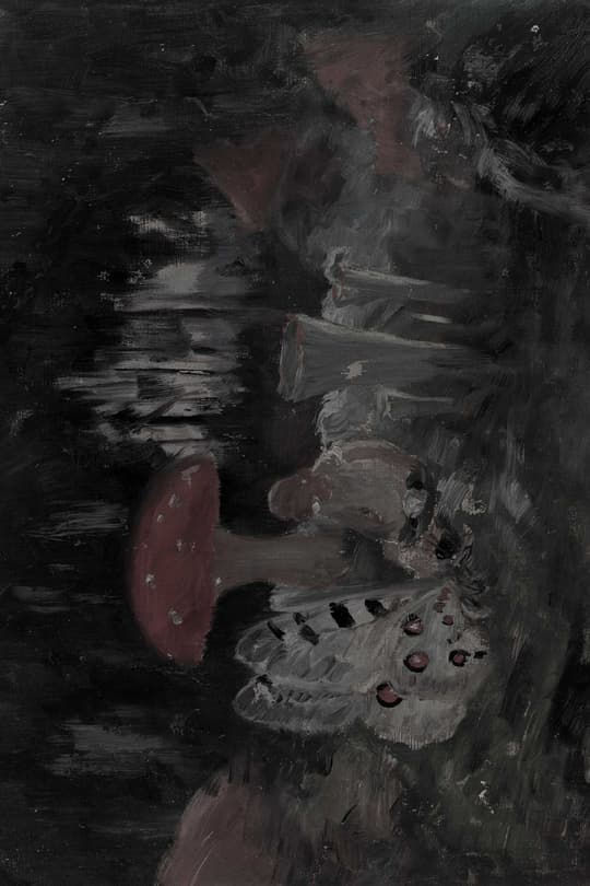 Nocturnal Composition