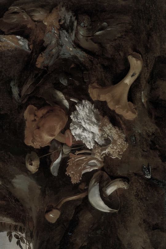Mythological Struggle