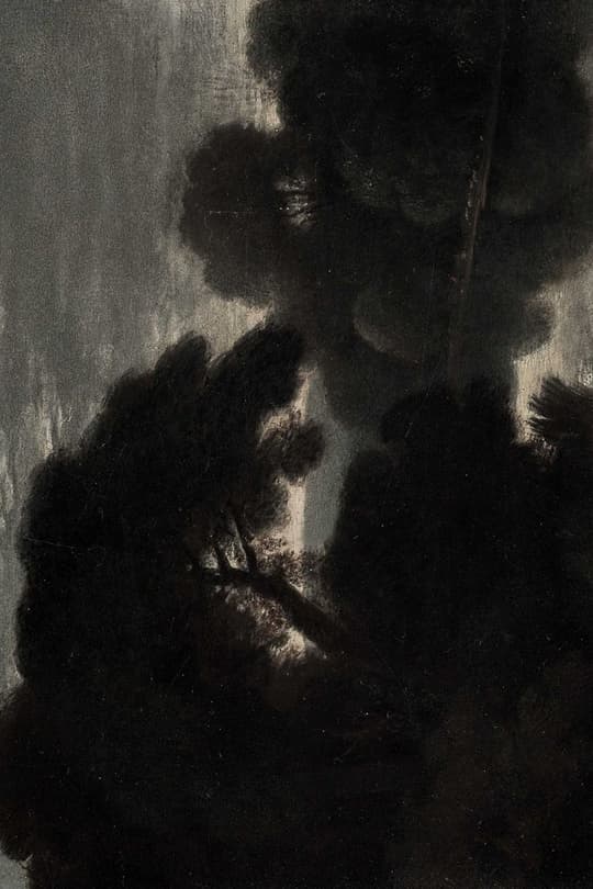 Shadow Figures in Light