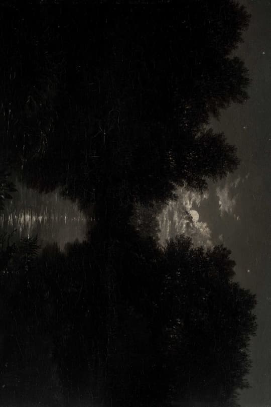 Moonlit Forest Night